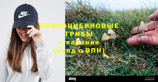 дживик Алзамай