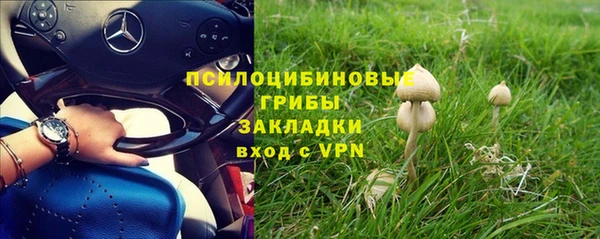 гидропоника Алексеевка
